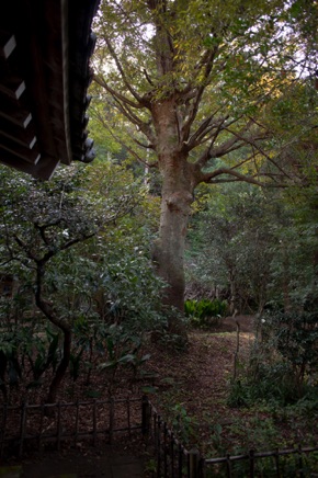 Kamakura